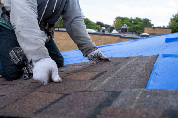 Best Metal Roofing Contractor  in Terrell, TX