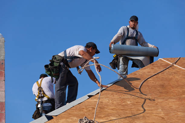 Best Metal Roofing Contractor  in Terrell, TX
