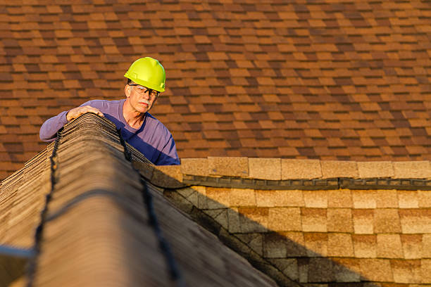 Best Roof Repair Services  in Terrell, TX