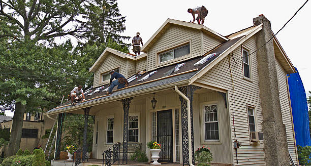 Best Affordable Roof Replacement  in Terrell, TX