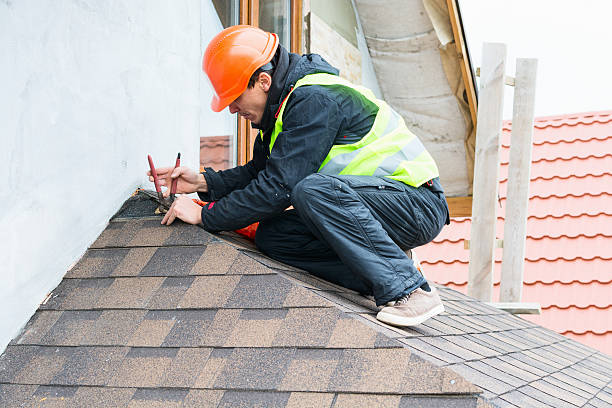 Best Roof Gutter Cleaning  in Terrell, TX