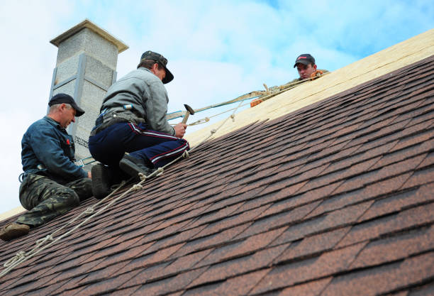 Best Best Roofing Contractors  in Terrell, TX